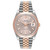 ROLEX Datejust 41 Steel Rose Gold Sundust Dial Mens Watch 126301 Image 2