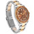 ROLEX Gmt Master Ii Steel Yellow Gold Bronze Mens Watch 16713 Image 3
