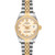 ROLEX Datejust Steel Yellow Gold Ivory Roman Dial Ladies Watch 69173 Image 1