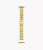 KATE SPADE Gold-Tone Scallop Stainless Steel Bracelet Band For Apple Watch®, 38/40/41/42Mm Kss0143 Image 1