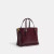 COACH Mollie Tote Bag 25