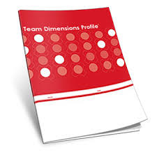 Team Dimensions Paper Profile. Discover how to make your teams more efficient.