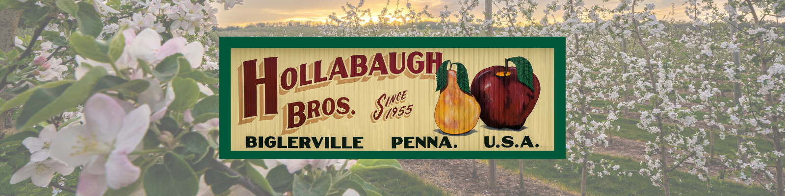 Hollabaugh Bros. Estore