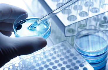 Ant Incidunt erat utlabore