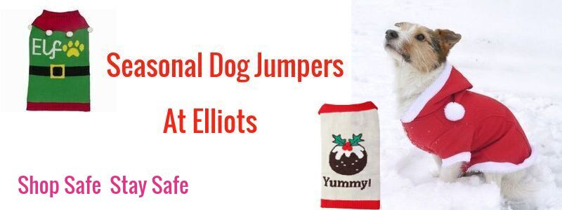 dog jumpers next