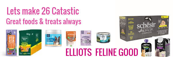 Schesir cat foods Cat treats at elliots