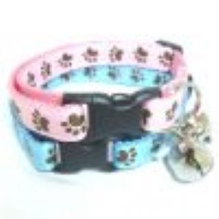 pretty cat collars