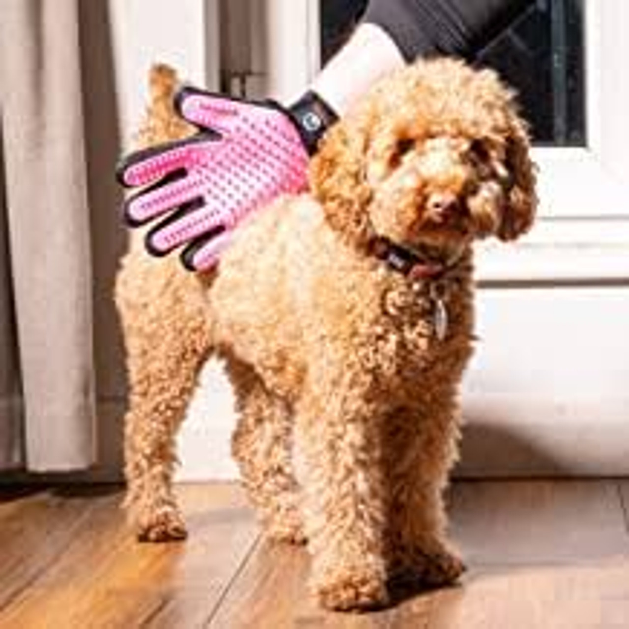 Swizzpets™ pet grooming glove ( Right hand)-various colours
