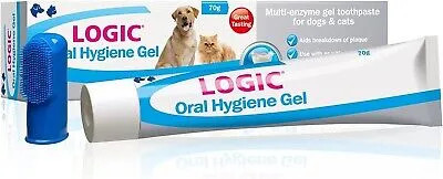 Oral Hygiene Best Canine Toothpaste Affordable Options For The