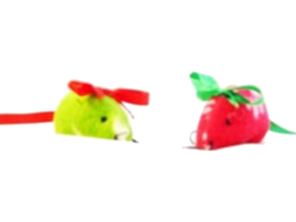 Looking for the best catnip mini mice? These toys encourage exercise and play. They're durable and fun. Shop the full range at Elliot's today.