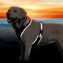 The Trixie Safer Life Flash dog harness offers top comfort for large dogs. It's light, strong, and easy to use. Upgrade your dog's gear today.
