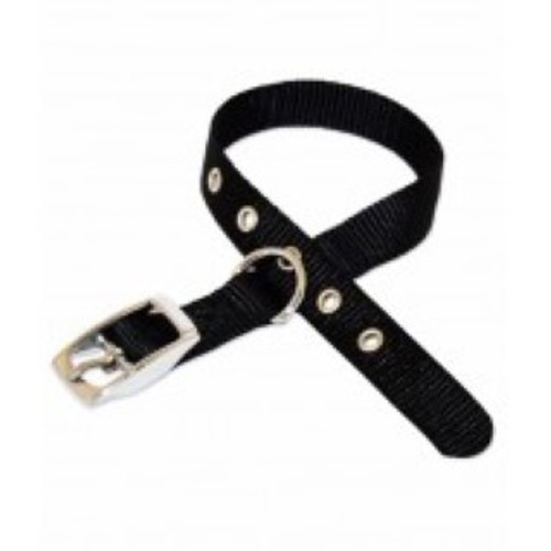 Nylon collar with clip fastening. It is easily adjusted and comes in a  range of colours.