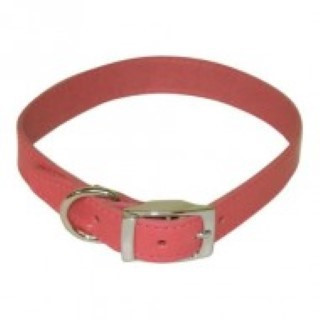 Get a premium BBD pink leather dog collar for your pup. This 10-12 inch strap is durable and soft. It's the perfect blend of style and strength. Buy now online.