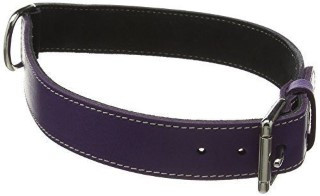 Give your dog a royal look with our purple leather dog collars. These BBD collars are strong and last for years. Find the right size and order yours now.