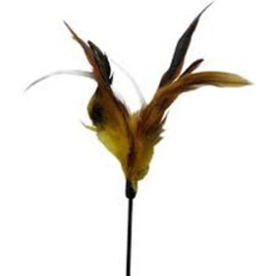 Treat your pet to the Hem Boo Feather Bell Cat Teaser. It is the perfect tool for daily exercise and bonding. Order now for fast delivery.