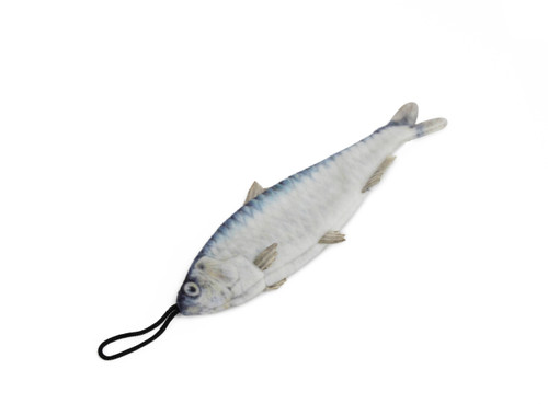 A great plush cat toy  sardine with a hidden pouch that can be filled with catnip, matabi or valerian. Ideal for batting around.