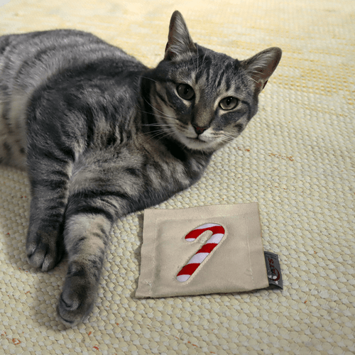 Christmas valerian pillows for cats everywhere. A great feline Christmas stocking filler.