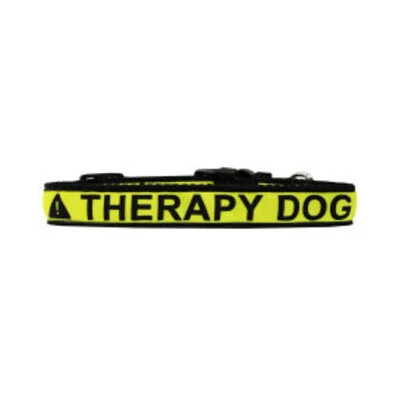 Shop our therapy dog nylon ribbon collars. These bright caution tape designs keep your pet safe and recognized. Choose the right size and buy yours online now.