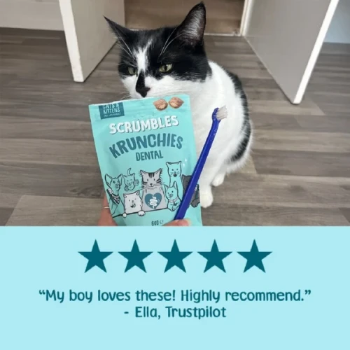 Scrumbles Krunchies Cat Dental Pillow Treats 180g are made for cats who need a fun, crunchy dental treat. Add them to your routine and shop online.
