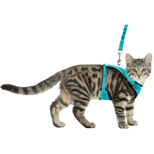 Stylish mesh harness available in two colours
Comfortable and well padded Stylish mesh harness available in two colours
Comfortable and well padded