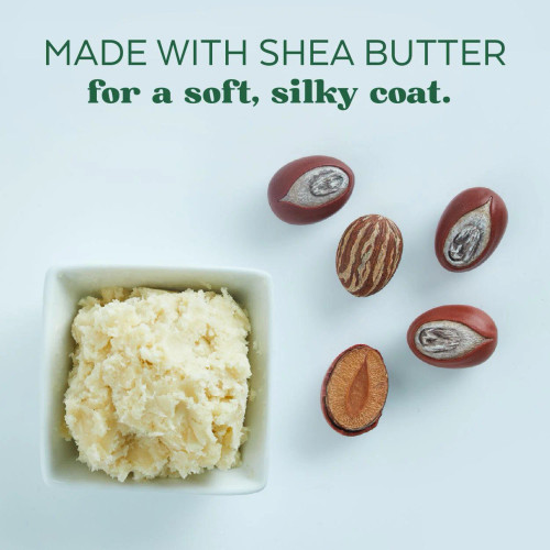 Want a softer coat? Use Tropiclean Shea Butter Shampoo for cats and dogs. It removes dirt while adding moisture. Shop now for the best pet care.