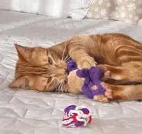 Discover the KONG Cat Active Rope, designed to captivate your cat's instincts! With vibrant colours and irresistible texture, it's perfect for endless playtime.
