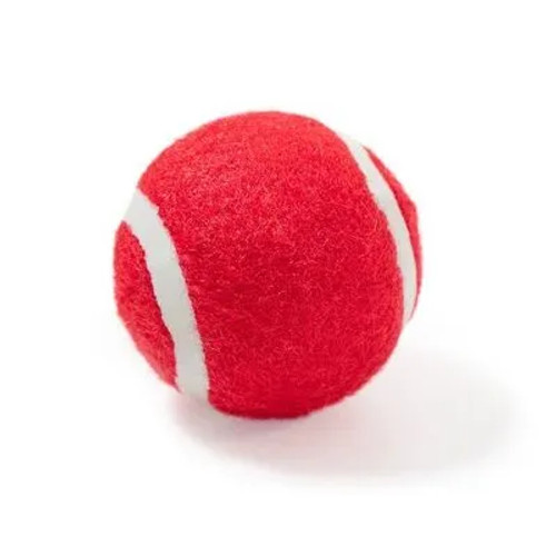 Red cat tennis ball
Hours of chasing fun for cats of all ages Red cat tennis ball
Hours of chasing fun for cats of all ages