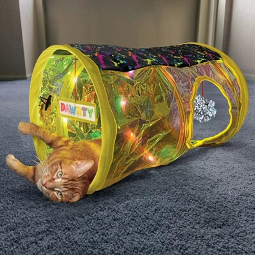 KONGS rave cave even features a mirrorball
Fun for all cats 