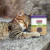  Discover the joy of KONG Naturals® Premium Catnip! Packaged in a convenient tin, this potent catnip transforms playtime into an exciting adventure for your cat.