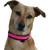 A lightweight reflective collar in pink. 
Hi visibility in dull or dark conditions due to safety lighting.
Battery gives hundreds of hours of light.