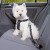 Traveling with pets is easier with a Trixie car harness. It's a strong, simple way to stop accidents. Pick your size and order now for a better trip.