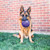  Treat your dog to the KONG Flexball Med/Large! Built for durability and fun, it features grippable handles and a flexible shape for exciting interactive play.