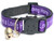 Cute kitten collar
Message reads I  have a loving home
Adjustable
Quick Release Buckle