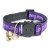 Cute kitten collar
Message on collar  reads I  have a loving home
Adjustable
Quick Release Buckle
