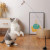 An amazing interactive cat toy
Simulates a real life bird as your cat tries to catch it