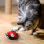 Choose the GiGwi Ladybird Motion Activated Beetle Sound Cat Toy for realistic noises, pounce-led exercise and mental stimulation. Order now for playtime.
