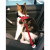 A great way for your cat to travel with you in safety
Smart cat car harness in red