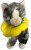 A smart yellow buster collar for cats
Helps wounds heal A smart yellow buster collar for cats
Helps wounds heal