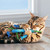 Discover the KONG Kickeroo Stickaroo cat toy! Its soft design and vibrant features stimulate your cat's instincts, making playtime fun and fulfilling.