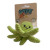 The CoolPet Oli Octopus Catnip Toy is a must-have for every cat owner. . Grab one now for delivery to your favourite feline