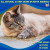 Treat your pet with Smokeys Stash Fine Ground Catnip. This 3 oz pack keeps cats happy and active. It's high quality and fresh. Grab a bag today.