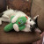 Unleash your cat's wild side with the KONG Kickeroo Cactus! This plush toy offers wrestling fun and cozy naps, infused with premium catnip for endless play.