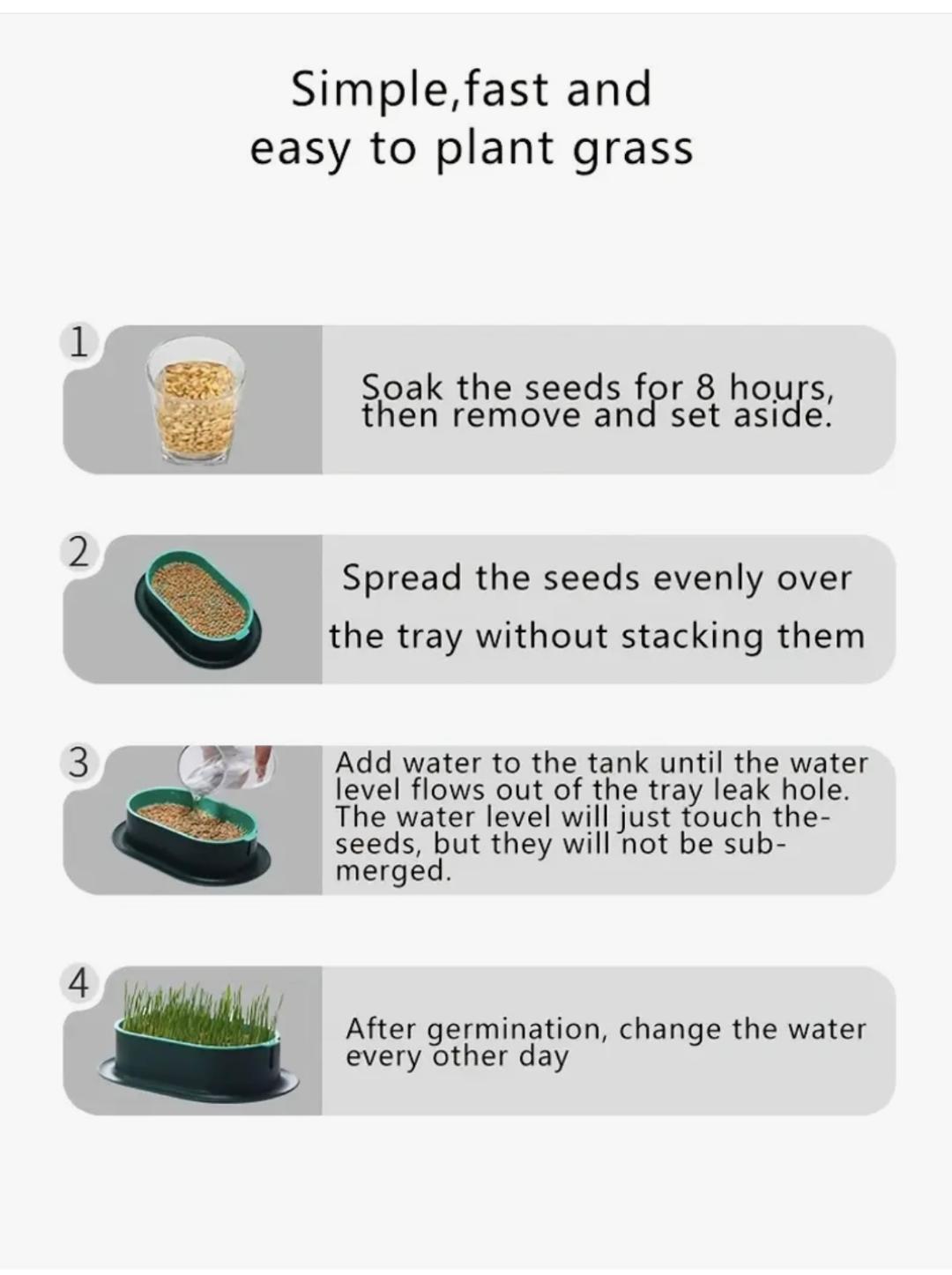 cat-grass-instructions-at-elliotspetwarehouse.jpg