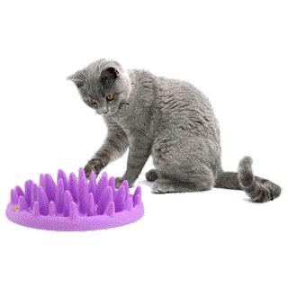 feeder Slow Eating Cat Bowl