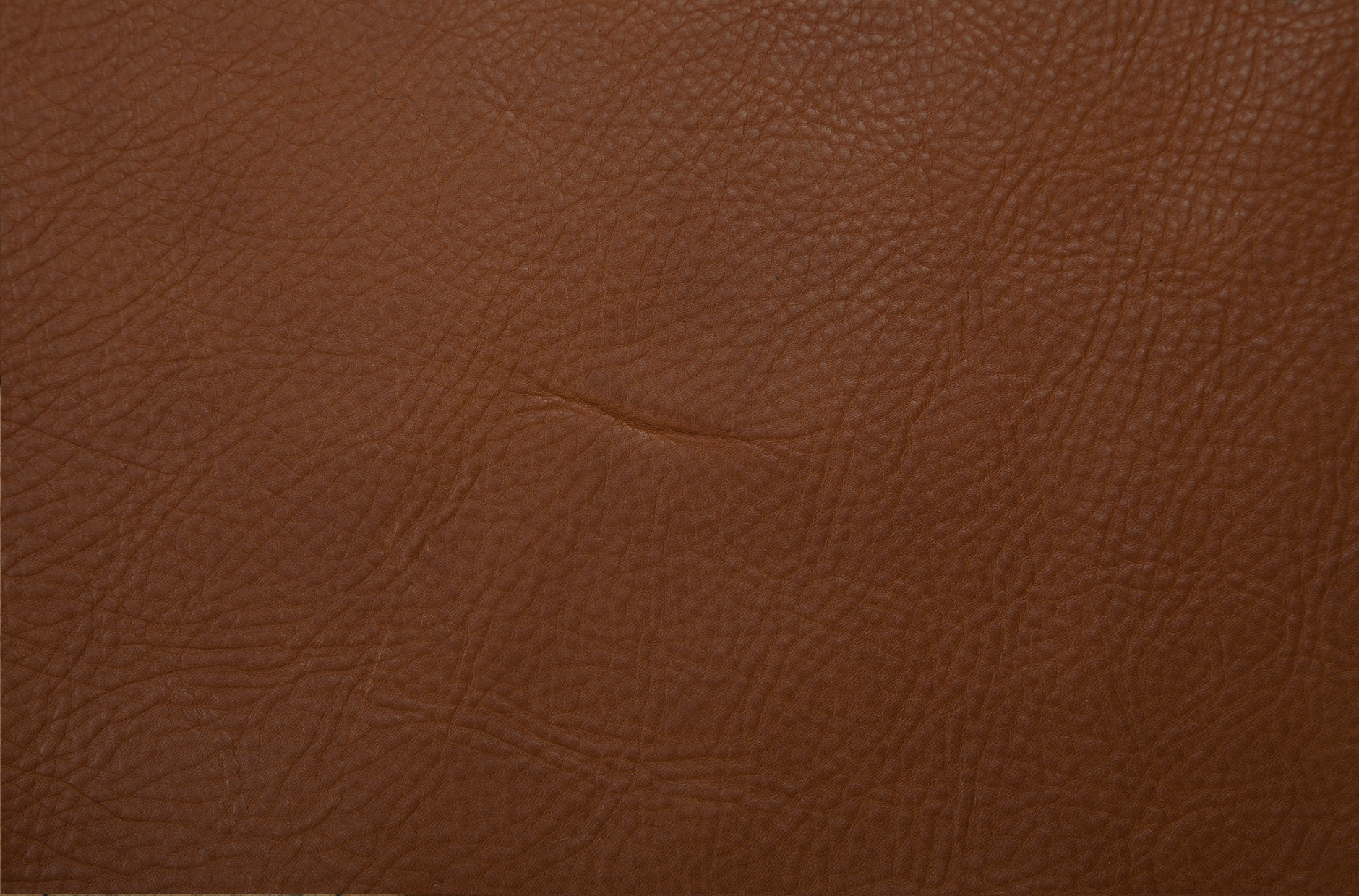 leather-unheals-scars.jpg