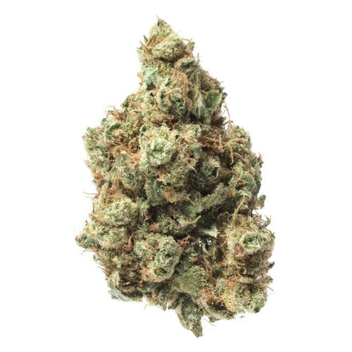 Pro Hemp Supply Exotic THCa Flower | Maui Wowie