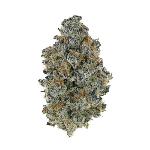Pro Hemp Supply Exotic THCa Flower | Splash