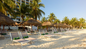 Melia Cozumel | Resort for a Day Shore Excursion & Resort Pass