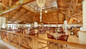 All inclusive restaurant at Viva Wyndham Fortuna Beach Resort in Freeport, Bahamas. 