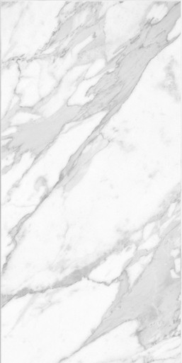 Carrara Gloss Regent 8" x 16" Ceramic Wall Tile | Home Outlet